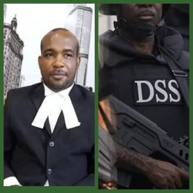 Court grants Gabriel Ogbonna bail after six months in DSS custody