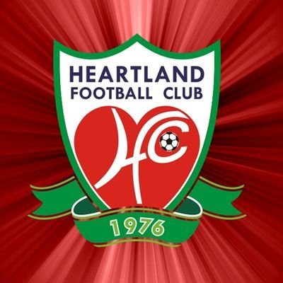 Imo FA boss wants Heartland FC sold to overcome funds shortages