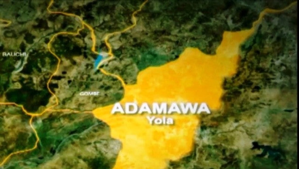 Adamawa election: ‘I was under pressure’ – Suspended REC, Yunusa Ari breaks silence
