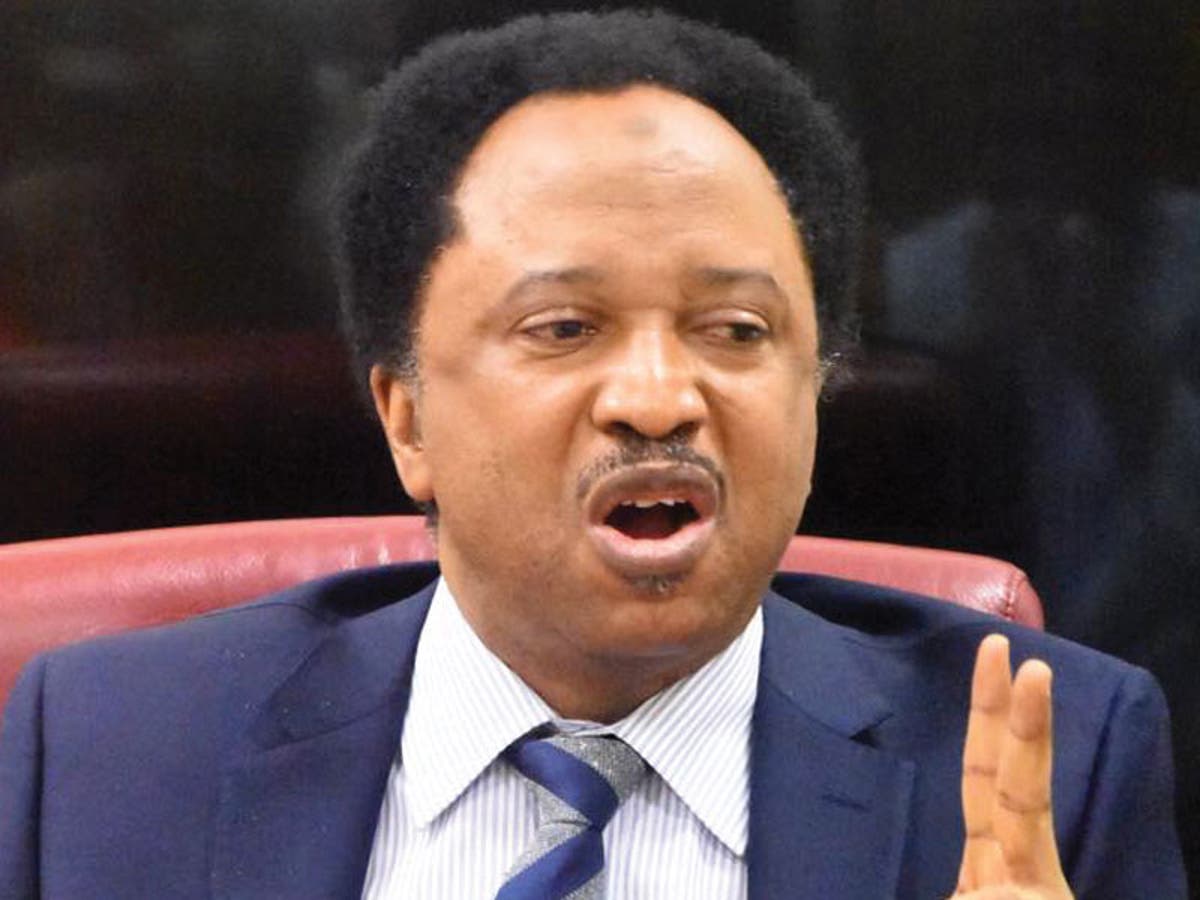 Shehu Sani advises US, Canada, others to Stop funding Nigeria’s elections