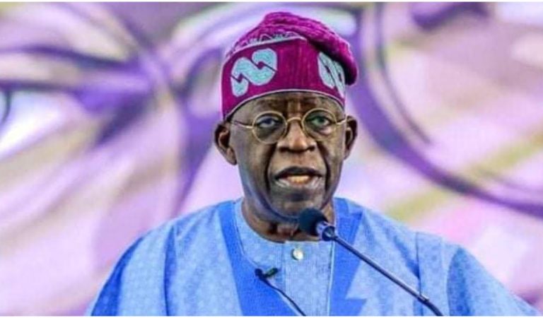 Fuel subsidy: Senator-elect hails Tinubu over ‘removal’ stance, says pain temporary