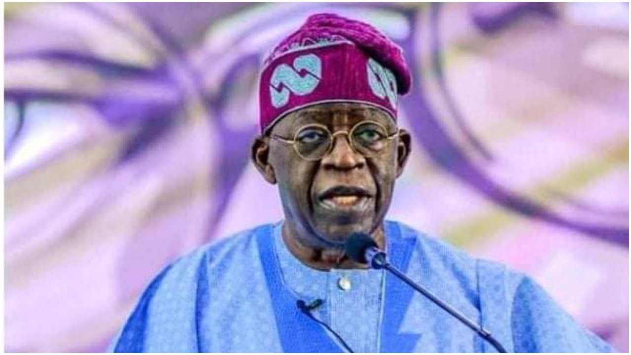 Fuel subsidy: Senator-elect hails Tinubu over ‘removal’ stance, says pain temporary