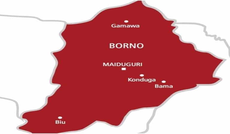 Borno wins $1.2m in primary healthcare leadership challenge