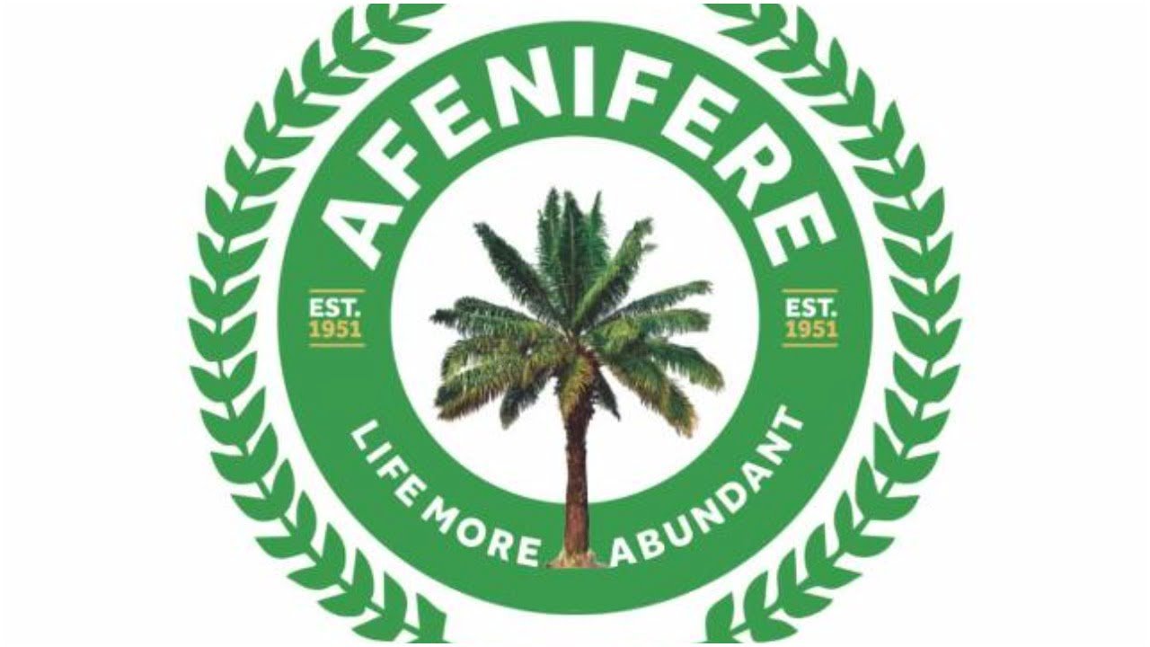 Afenifere disowns statement faulting Tinubu’s Supreme Court victory